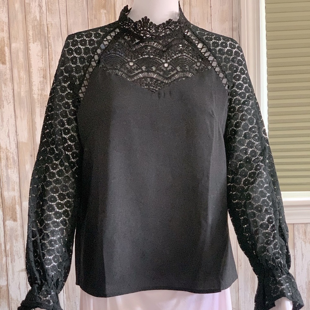 Striking Victorian looking Black Lace Blouse
